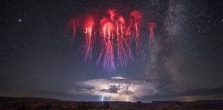 Red Sprites (Red Jellyfish)